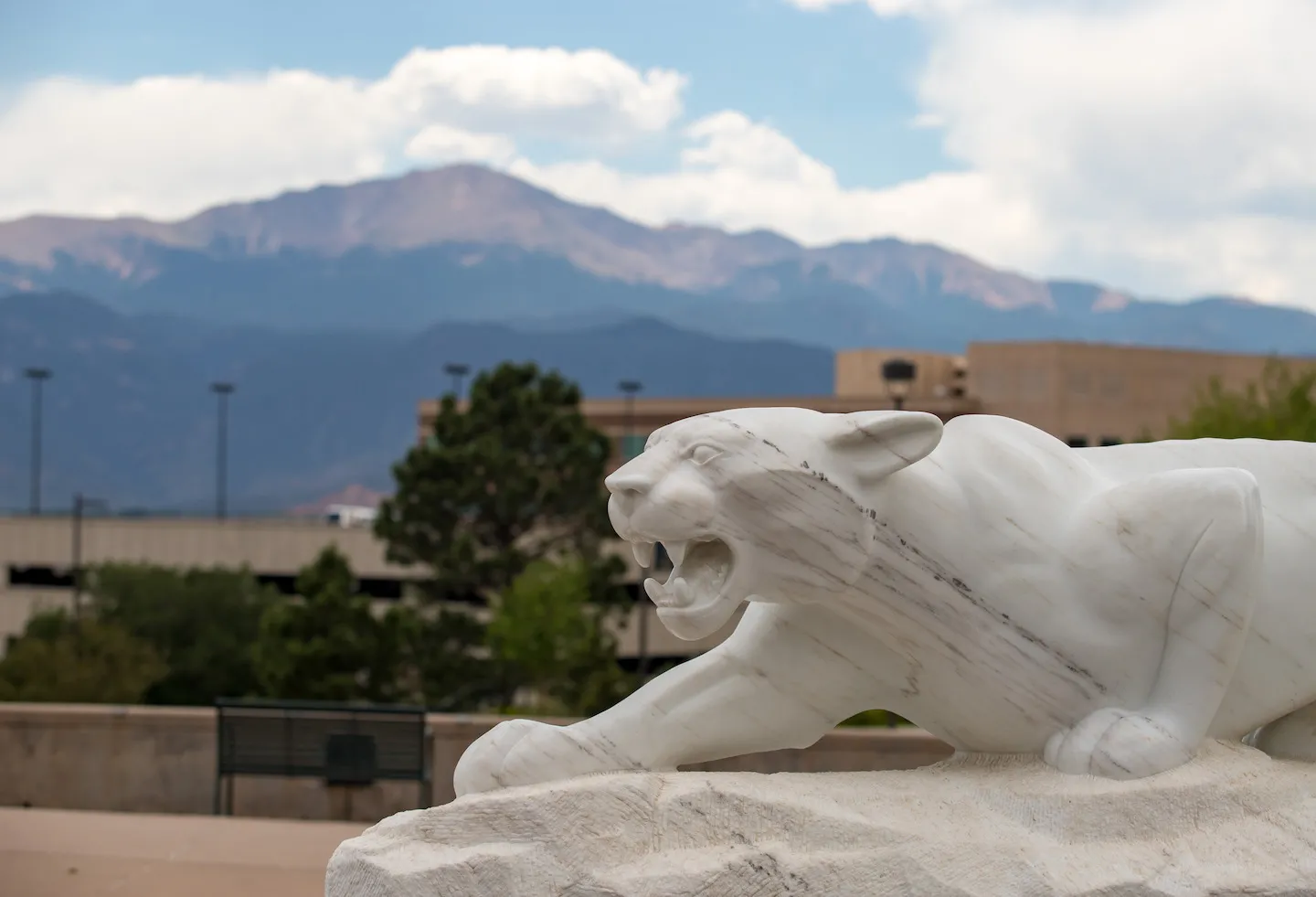 Pikes Peak and Mountain Lion